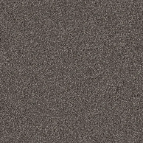 Brown Earth carpet swatch